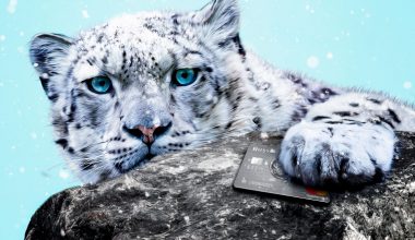 кредитная карта русский стандарт