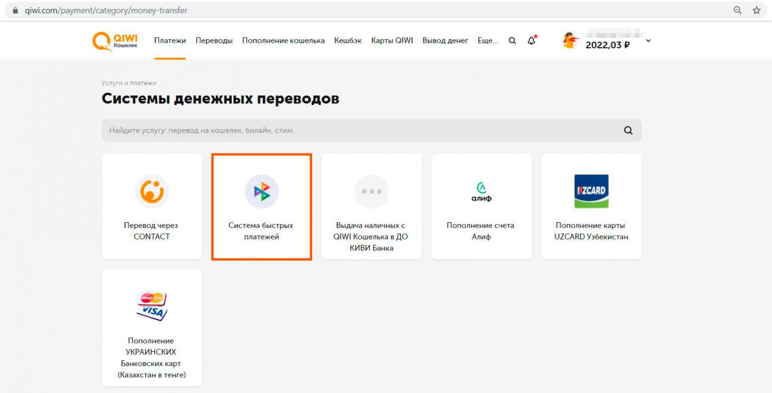 платеж стим qiwi фото 41