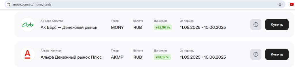 БПИФ денежного рынка